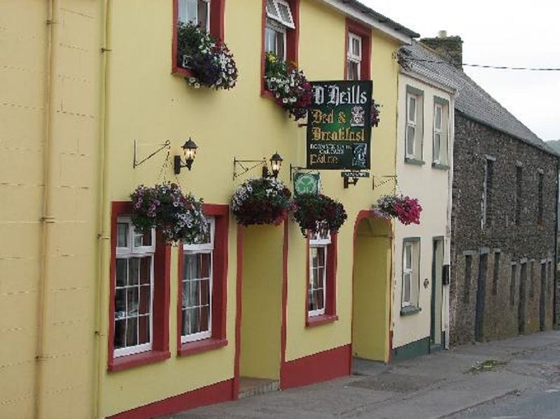 دينغل O Neills Bed And Breakfast المظهر الخارجي الصورة